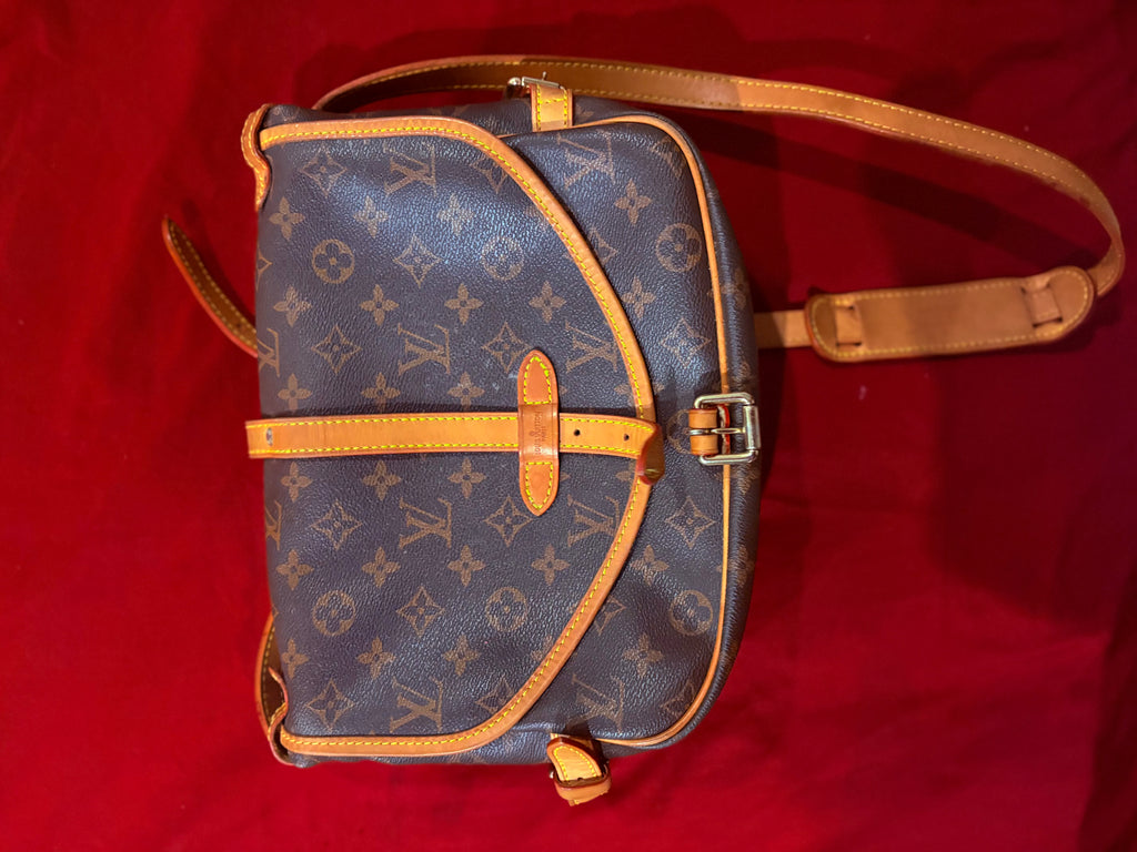 Louie V Bag Monogram