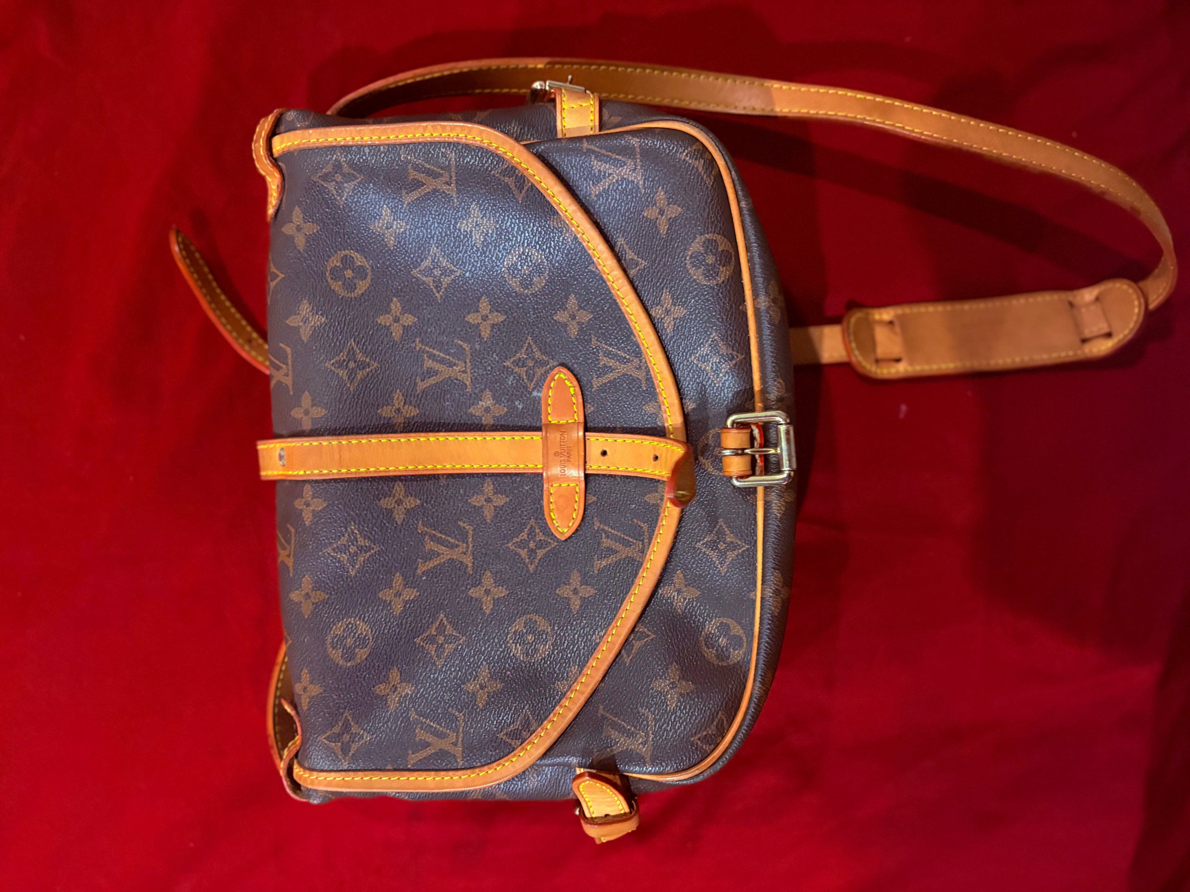 Louie V Bag Monogram